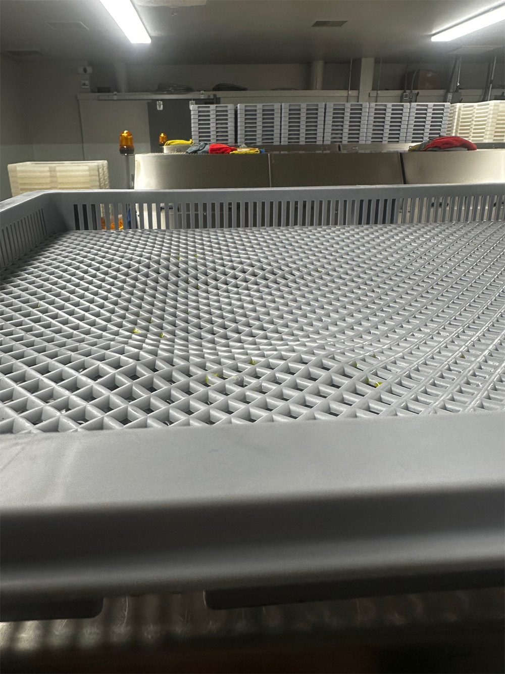 Vented Trays with Imperfections