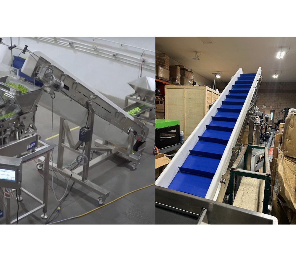 WEIGHPACK INFEED CONVEYOR